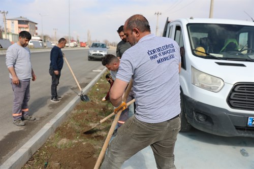 Park ve Bahçeler Müdürlüğü, baharın gelmesi ile birlikte; çiçek ekimi, ilaçlama ve damlama sulama çalışmalarına başladı.